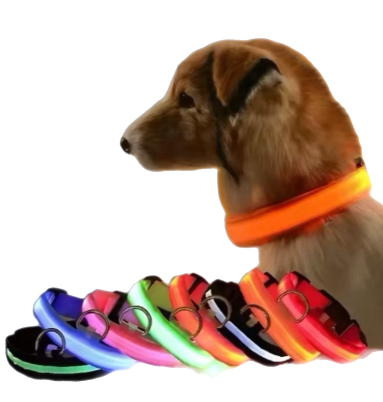 Lichtgevende honden- en kattenhalsband – zichtbaarheid in het donker
