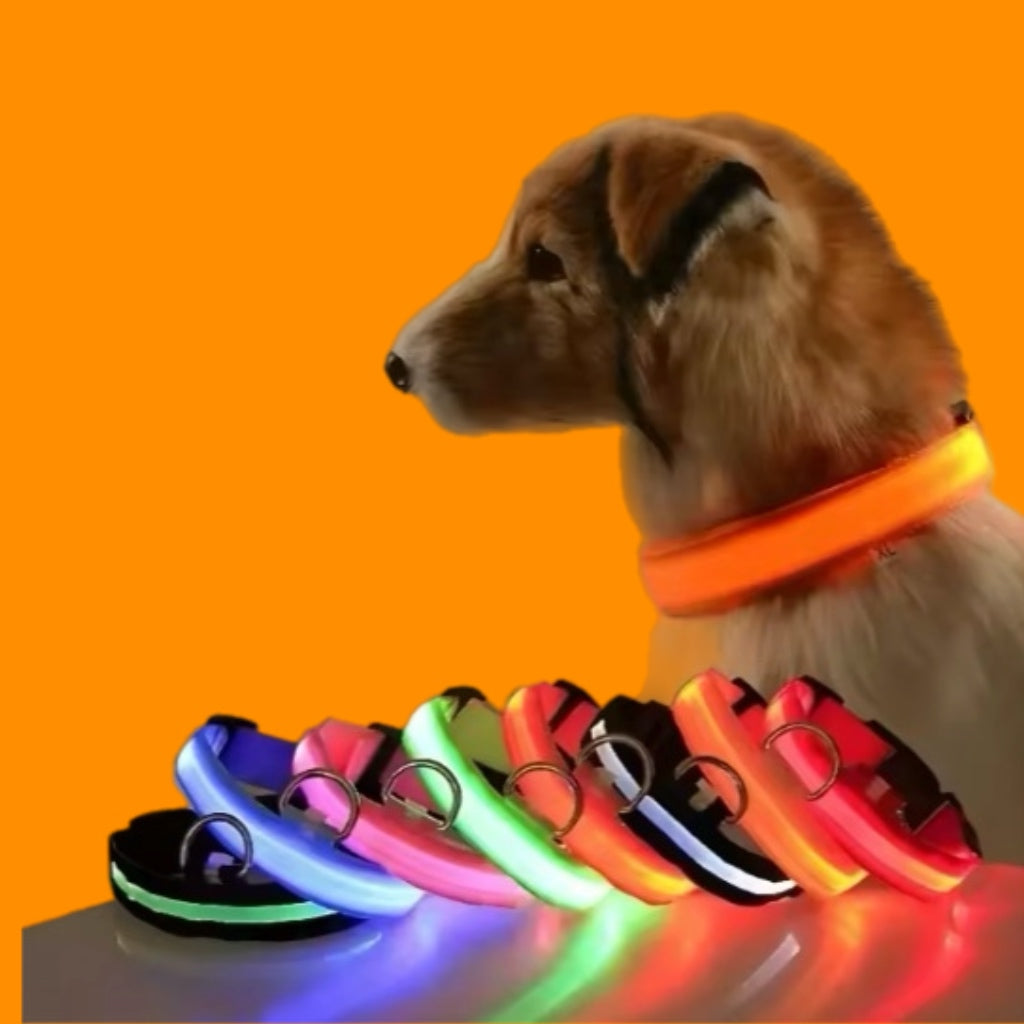 72 hours - Emergency package