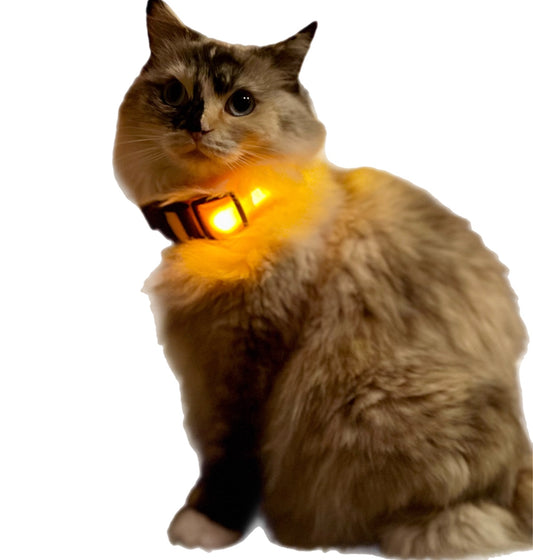 Lichtgevende honden- en kattenhalsband – zichtbaarheid in het donker